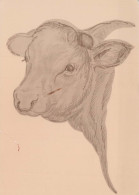 COW Animals Vintage Postcard CPSM #PBR814.A - Vacas