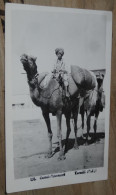 KARACHI, Camel Transport ................ BE-18170 - Pakistan