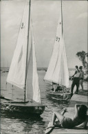 Mamaia-Konstanza Constanţa (Kustendji / Kustendja) Pe Siut-Ghiol/Segelboote 1957 - Romania