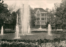 Freiberg (Sachsen) Park Mit Haus Der Jungen Pioniere "Fritz Weineck" DDR AK 1976 - Freiberg (Sachsen)