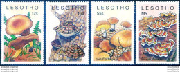 Flora. Funghi 1989. - Lesotho (1966-...)