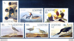 Fauna. Uccelli 1985. - Lesotho (1966-...)