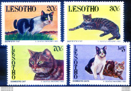 Fauna. Gatti 1993. - Lesotho (1966-...)