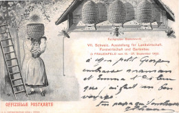 Suisse - TG - FRAUENFELD - Ausstellung Für Landwirtschaft 18-27/9/1903 - Apiculture, Abeilles, Rucher - Voyagé (2 Scans) - Frauenfeld