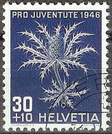 Schweiz Pro Juventute 1946: Eryngium Alpinum Zu WI 120 Mi 478 Yv 436 Mit Stempel BERN 31.XII.46 (Zu CHF 12.00) - Used Stamps