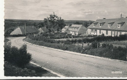 14 // THURY HARCOURT    Rue De Suède   Cpsm Petit Format Edit La Cigogne - Thury Harcourt