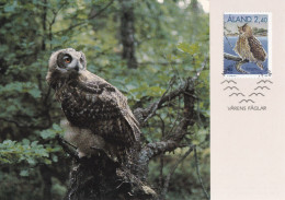 Owl - Hibou - Uil - Eule - Gufo - Coruja - Búho - Huuhkaja - Owl - Bubo Bubo - Maximum Postcard - Maxicard - Oiseaux