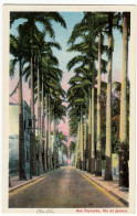 BRASILE - RIO DE JANEIRO - RUA PAYSANDU - 1923 - Vedi Retro - Formato Piccolo - Rio De Janeiro