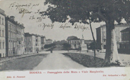 MODENA - PASSEGGIATA  DELLE  MURA- VIALE  MARGHERITA - 1905 - Modena