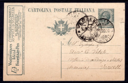 1920 12 NOV  C.30 SASS.C45 IDEM 20 "LEONI GRIGIO"USATO SU CARTOLINA POSTALE X VERCELLI   MOLTO BELLA - Stamped Stationery