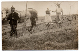 Scène De Labour. Soc Tiré Par Un Cheval Dans Les Vignes. Carte Photo Animée Non Située - Landbouwers