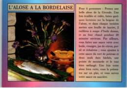 L'ALOSE A LA BORDELAISE  . -  Recettes De Cuisine De Gironde. - CPM - Voir Scannes Recto-Verso - Recepten (kook)