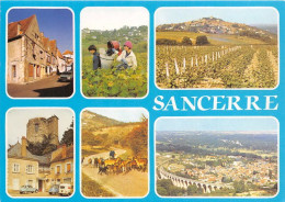 SANCERRE Maisons Du XVIe Siecle Les Vendanges Les Vignobles La Tour Du Chateau 4(scan Recto-verso) MA1813 - Sancerre