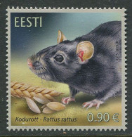 Estonia:Unused Stamp Home Rat, Rattus Rattus, 2020, MNH - Estonia