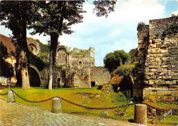 SENLIS Ruines Du Chateau Tour Gallo Romane 4(scan Recto-verso) MA1845 - Senlis
