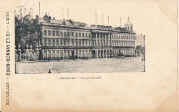 BRUXELLES  PALAIS DU ROI - Monumenti, Edifici