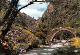 ANDORRE VALLS D ANDORRA LA MASSANA Pont Roman De St Antoine 22(scan Recto-verso) MA1899 - Andorra