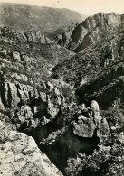 VILLEFORT Les Gorges Du Chassezac  29   (scan Recto-verso)MA1898Bis - Villefort