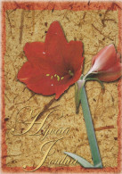 FLOWERS Vintage Postcard CPSM #PBZ333.GB - Flores