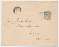 Trein Haltestempel Dedemsvaart 1897 - Lettres & Documents