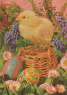 EASTER CHICKEN EGG Vintage Postcard CPSM #PBP120.GB - Pasqua