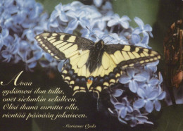 MARIPOSAS Animales Vintage Tarjeta Postal CPSM #PBS421.ES - Schmetterlinge