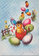 PASCUA POLLO HUEVO Vintage Tarjeta Postal CPSM #PBO619.ES - Pasqua