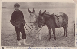 DONKEY Animals Children Vintage Antique Old CPA Postcard #PAA333.GB - Anes