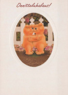 OURS Animaux Vintage Carte Postale CPSM #PBS356.FR - Ours