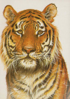 TIGRE Animaux Vintage Carte Postale CPSM #PBS044.FR - Tiger