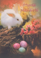 PÂQUES LAPIN ŒUF Vintage Carte Postale CPSM #PBO493.FR - Pasqua