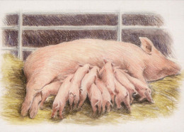 PIGS Tier Vintage Ansichtskarte Postkarte CPSM #PBR759.DE - Schweine