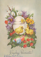 OSTERN HUHN EI Vintage Ansichtskarte Postkarte CPSM #PBO808.DE - Ostern