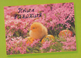 OSTERN HUHN EI Vintage Ansichtskarte Postkarte CPSM #PBP123.DE - Ostern