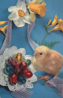 PASQUA POLLO UOVO Vintage Cartolina CPA #PKE443.IT - Easter