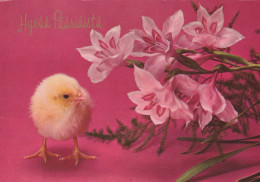 PASQUA POLLO UOVO Vintage Cartolina CPSM #PBP124.IT - Easter