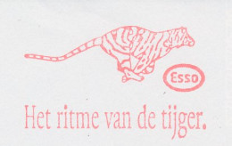Meter Cut Netherlands 1996 Tiger - Esso - Altri & Non Classificati