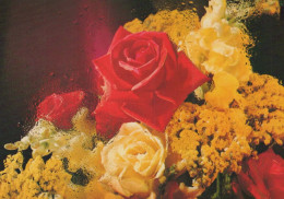 FIORI Vintage Cartolina CPSM #PAS170.IT - Flowers
