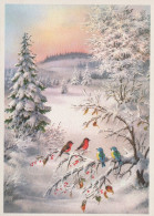 UCCELLO Animale Vintage Cartolina CPSM #PAM819.IT - Birds