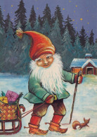 BABBO NATALE Animale Natale Vintage Cartolina CPSM #PAK458.IT - Kerstman