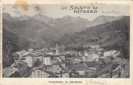 RECOARO-VICENZA-PANORAMA-UN SALUTO DA..CARTOLINA VIAGGIATA IL 10-8-1904-RETRO INDIVISO - Vicenza