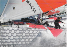 CPM - Voile MACSF - Voiliers