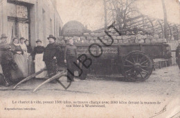 Postkaart - Carte Postale - Wuustwezel - Le Chariot à Vide, Devant La Maison De Son Frère à Wuestwezel (C5830) - Wuustwezel