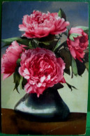 CPA  PHOTOCHROMIE . FLEURS DE PIVOINE . PIVOINES . 1911 . BOUQUET OF  PEONY FLOWERS OLD PC - Flores