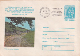A24743 -  DACICA  FORTRESS BLIDARU ROMANIA COVER STATIONERY, 1980 - Enteros Postales