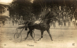 TIEGO TROTTEUR - Reitsport