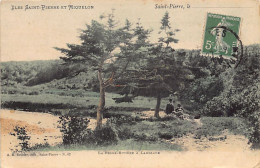 Saint-Pierre & Miquelon - LANGLADE - La Belle-Rivière - Ed. A. M. Bréhier 42 - San Pedro Y Miquelón