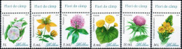 Moldova 2024 "Wildflowers" 4v Quality:100% - Moldavia