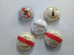 Lot 5 Capsules Muselets Champagne GH Mumm Différentes ( Bazarcollect28 ) - Mumm GH