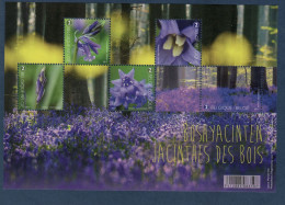 Belgique, België, **, Yv F 4642, Mi BL 210, Jacinthes Des Bois, Fleur, - Otros & Sin Clasificación